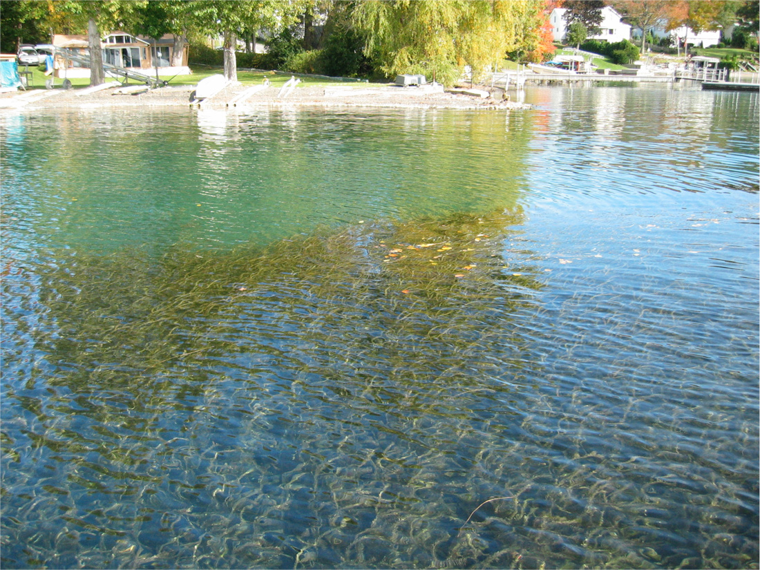 Lake Skaneateles Water Temperature