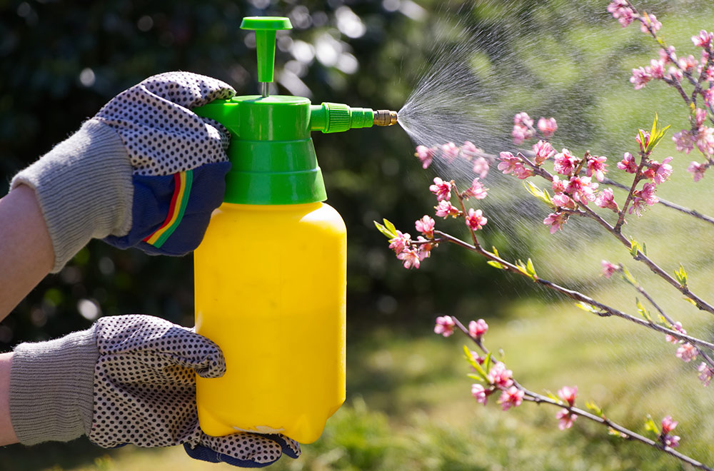 Pesticides-and-Herbicides