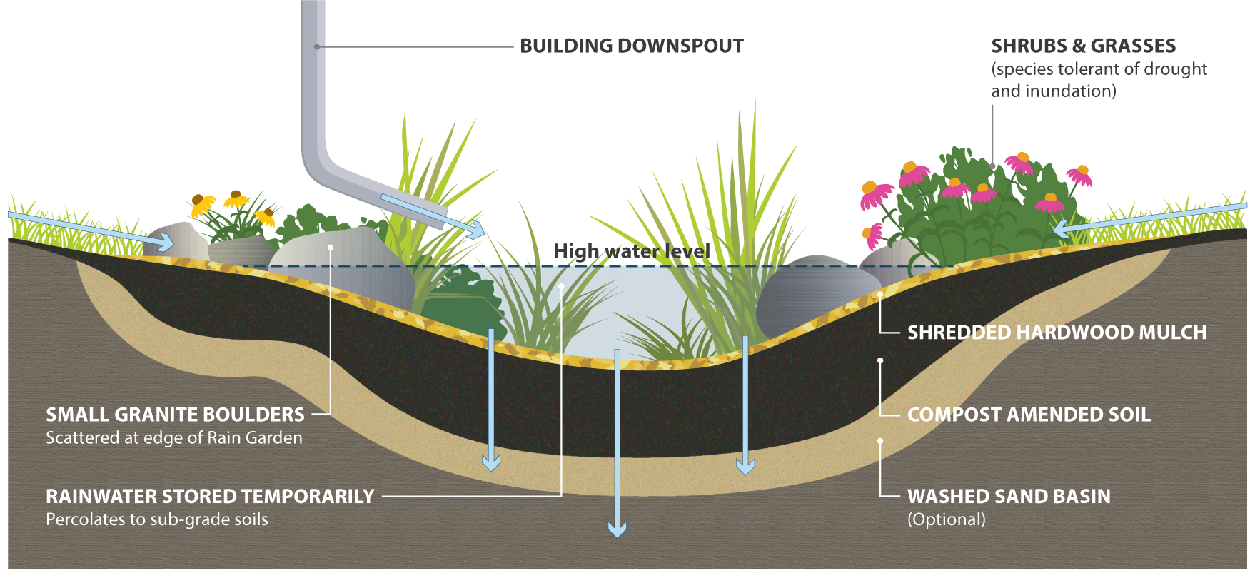 Rain-garden-cross-section